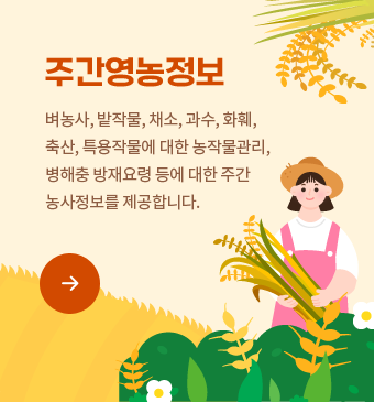 주간영농정보 바로가기